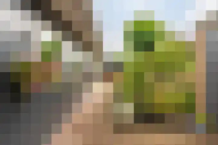 Thorbeckelaan 50 Oude Pekela thumbnail 41