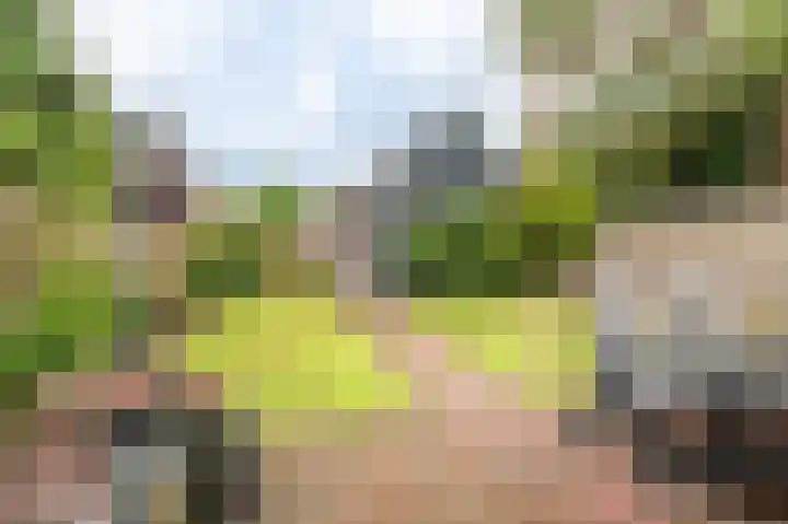 Thorbeckelaan 50 Oude Pekela thumbnail 42