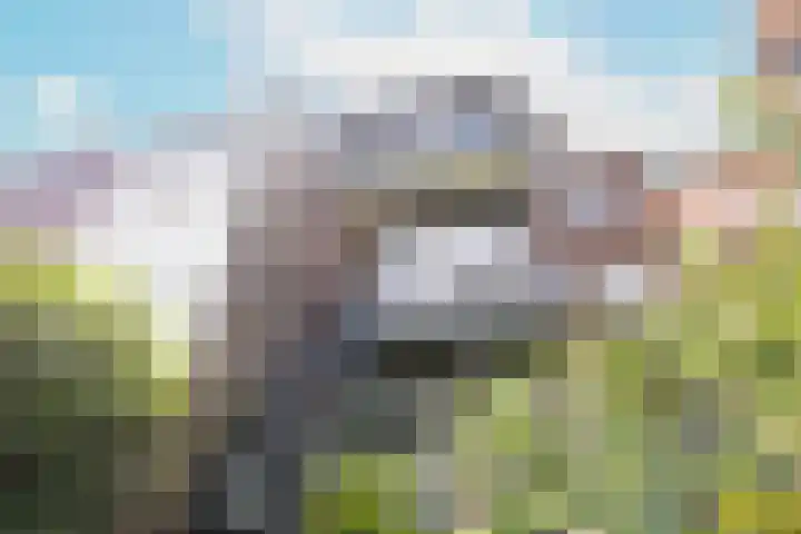 Thorbeckelaan 51 Utrecht thumbnail 10