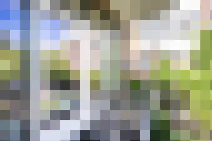 Thorbeckelaan 51 Utrecht thumbnail 27