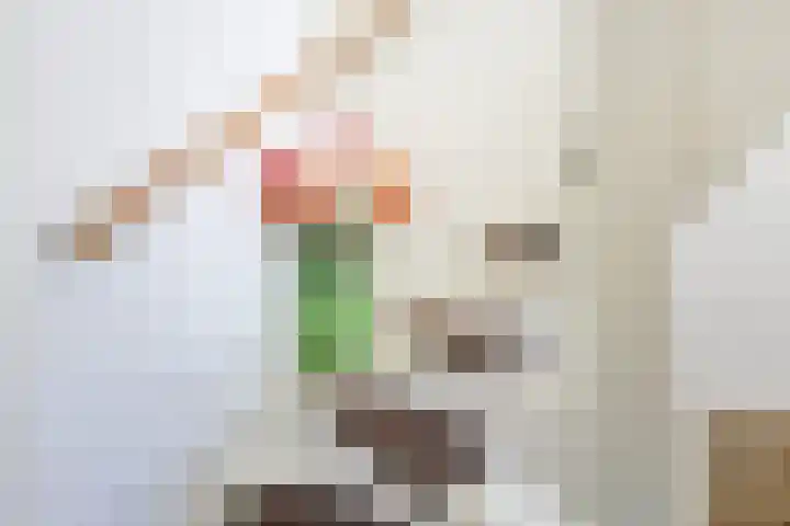 Thorbeckelaan 51 Utrecht thumbnail 38