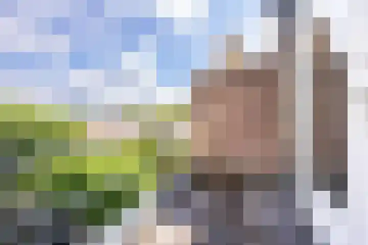 Thorbeckelaan 51 Utrecht thumbnail 44