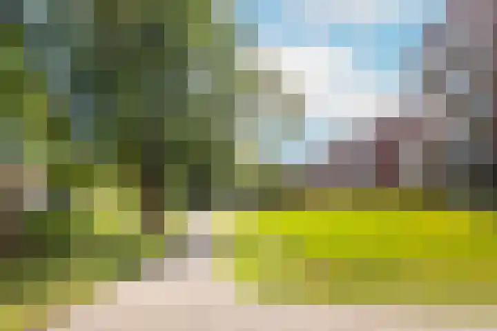 Thorbeckelaan 51 Utrecht thumbnail 59