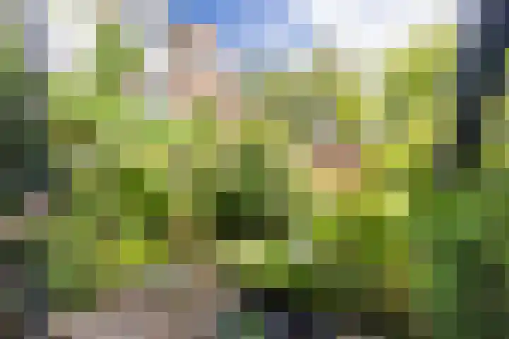 Thorbeckelaan 51 Utrecht thumbnail 6