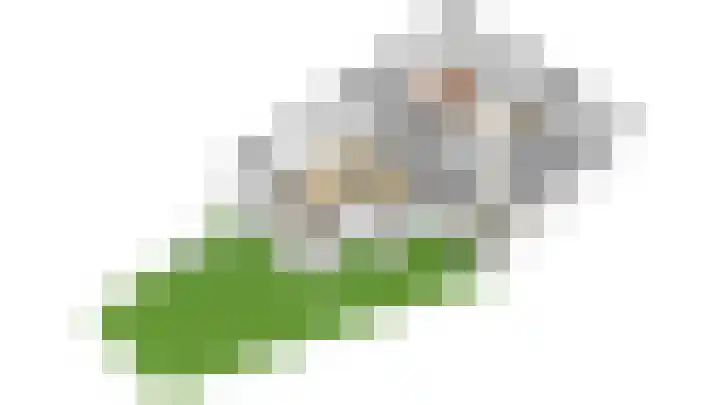 Thorbeckelaan 51 Utrecht thumbnail 68