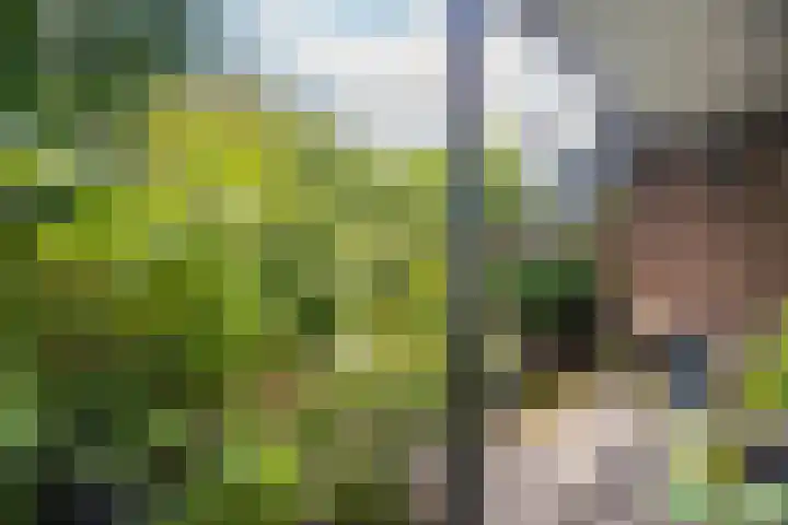 Thorbeckelaan 51 Utrecht thumbnail 7