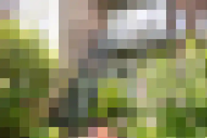 Thorbeckelaan 51 Utrecht thumbnail 9
