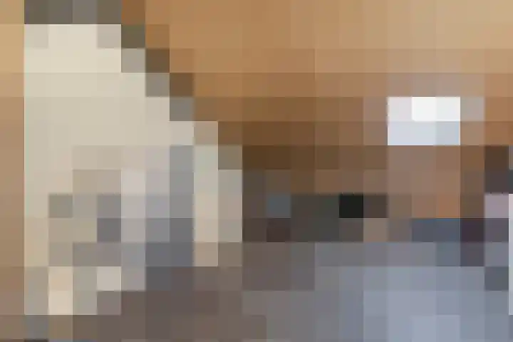 Thorbeckelaan 52 Sliedrecht thumbnail 21