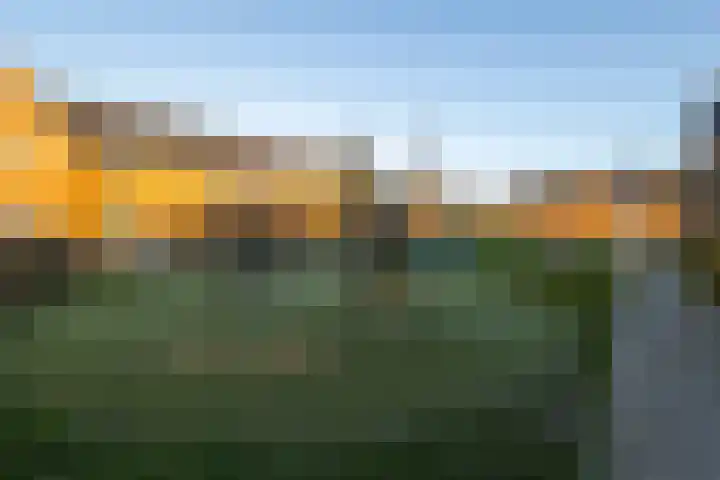 Thorbeckelaan 52 Sliedrecht thumbnail 28
