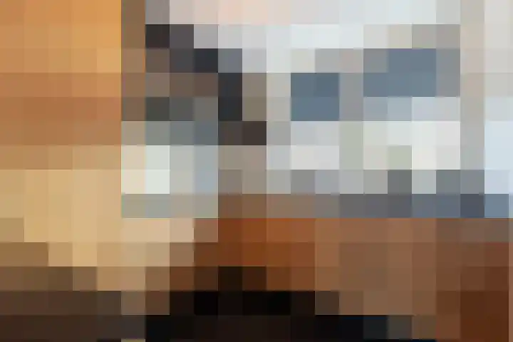 Thorbeckelaan 52 Sliedrecht thumbnail 7