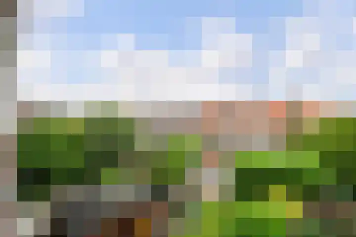 Thorbeckelaan 525 Den Haag thumbnail 18
