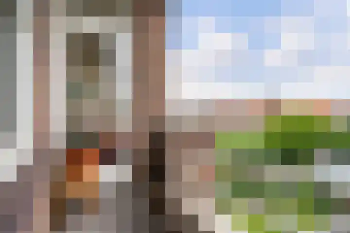 Thorbeckelaan 525 Den Haag thumbnail 4
