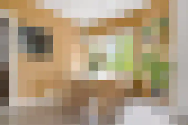 Thorbeckelaan 53 BS Utrecht thumbnail 12