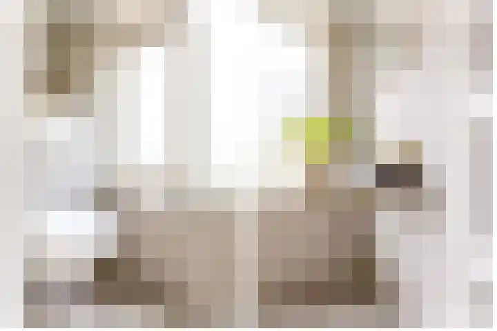 Thorbeckelaan 53 BS Utrecht thumbnail 18