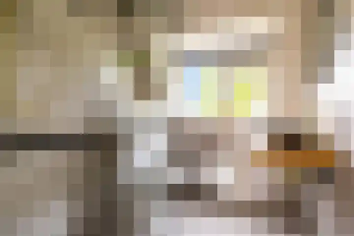 Thorbeckelaan 53 BS Utrecht thumbnail 21