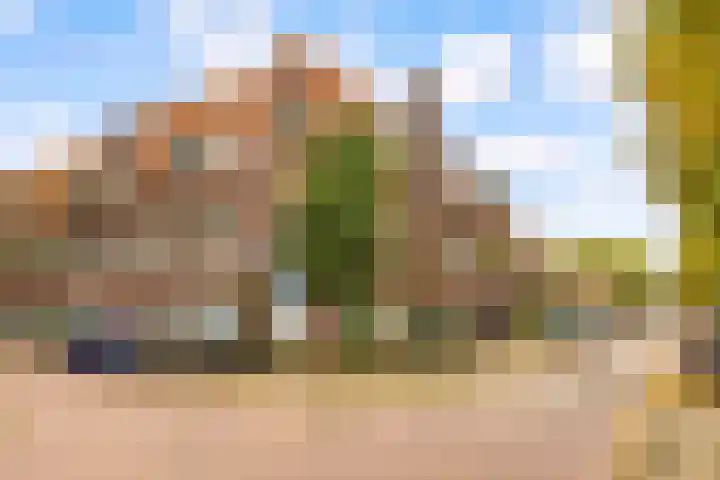 Thorbeckelaan 53 BS Utrecht thumbnail 33