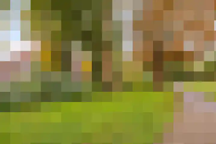 Thorbeckelaan 53 BS Utrecht thumbnail 35