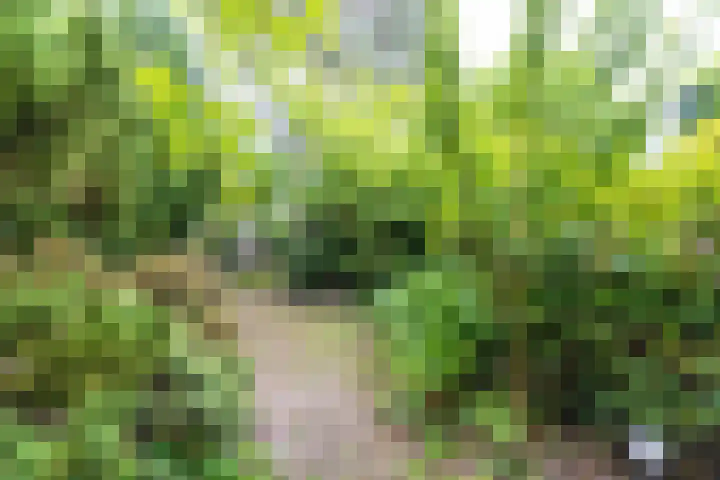 Thorbeckelaan 53 Naarden thumbnail 16