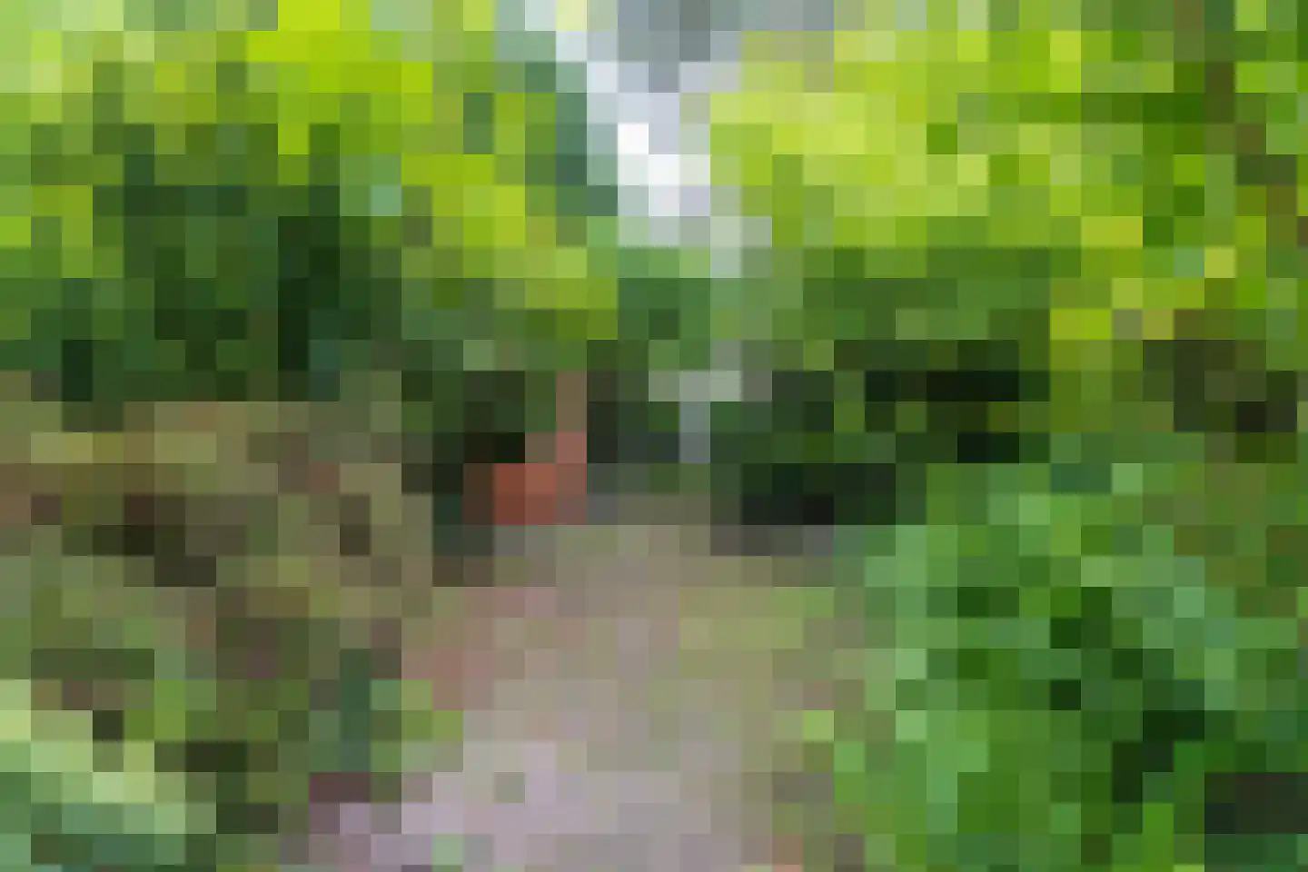 Thorbeckelaan 53 Naarden thumbnail 17