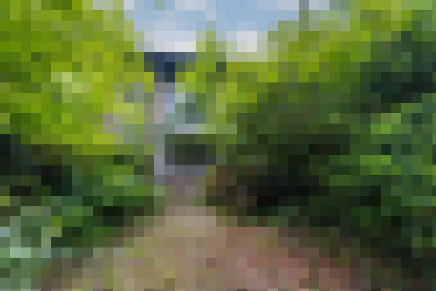Thorbeckelaan 53 Naarden thumbnail 19