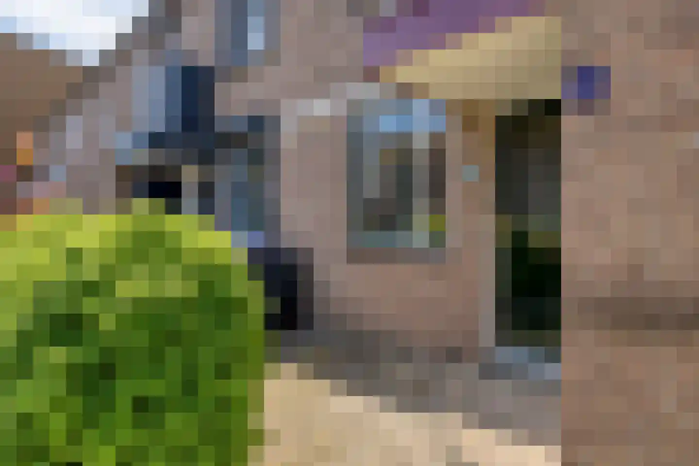 Thorbeckelaan 54 Spijkenisse thumbnail 24