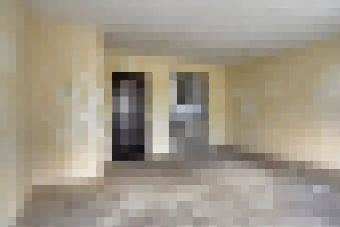 Thorbeckelaan 54 Spijkenisse thumbnail 4