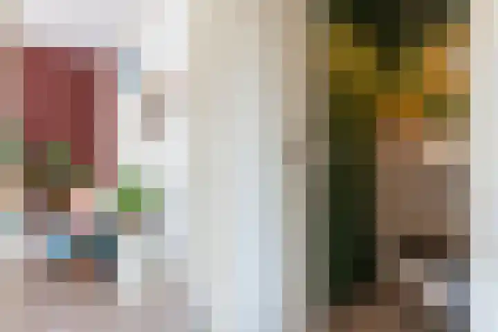 Thorbeckelaan 57 Gouda thumbnail 6