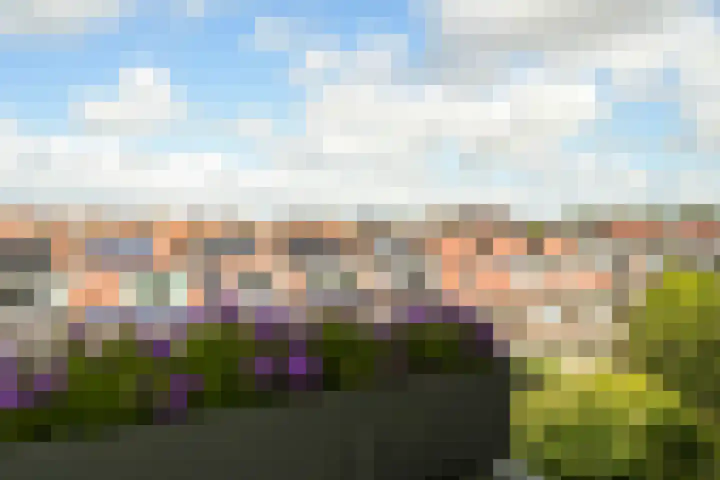 Thorbeckelaan 577 Den Haag thumbnail 14