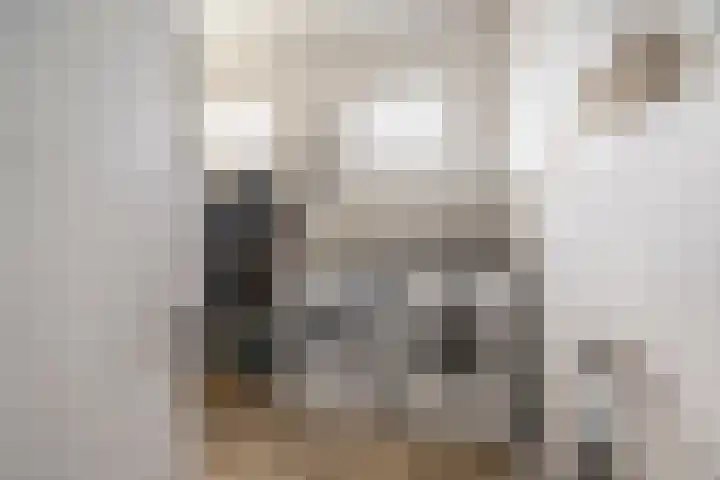 Thorbeckelaan 59 Oude Pekela thumbnail 28