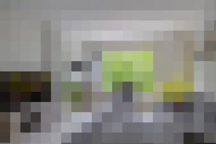 Thorbeckelaan 63 Gouda thumbnail 10