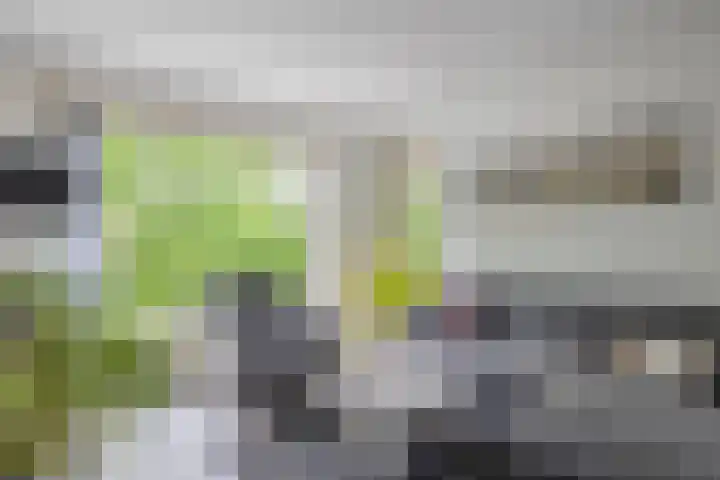 Thorbeckelaan 63 Gouda thumbnail 11