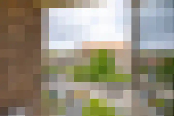 Thorbeckelaan 63 Gouda thumbnail 17