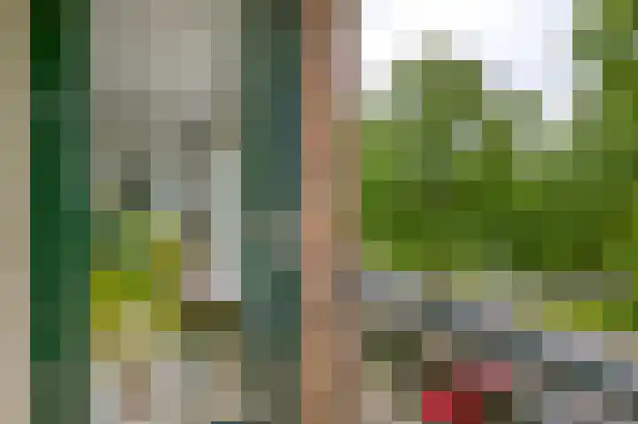 Thorbeckelaan 63 Gouda thumbnail 23