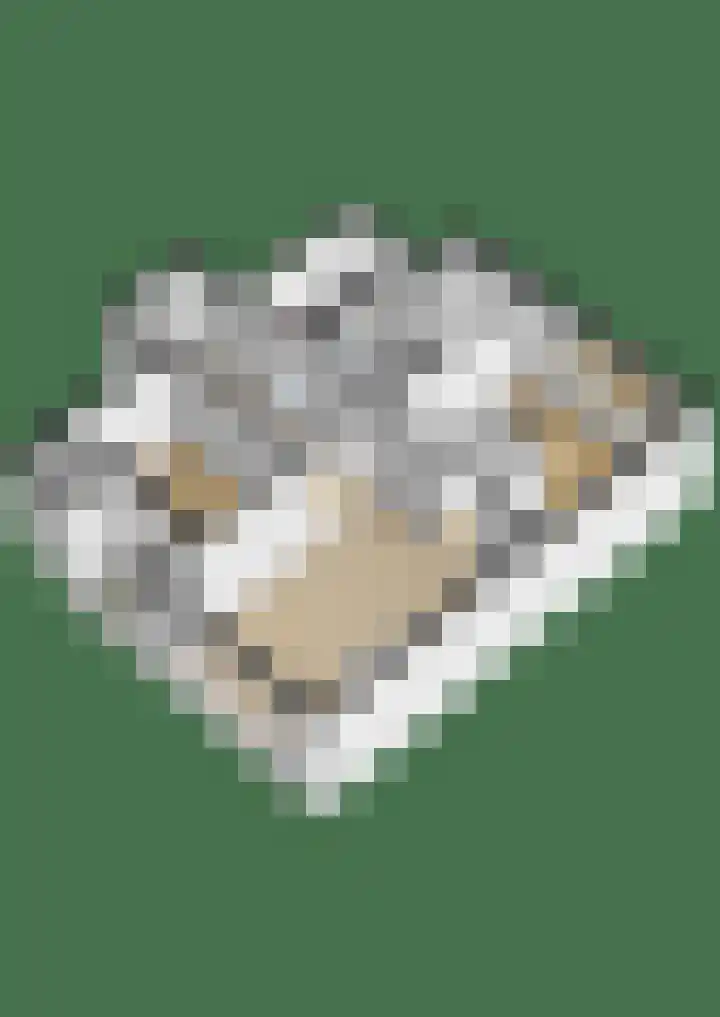 Thorbeckelaan 63 Gouda thumbnail 32