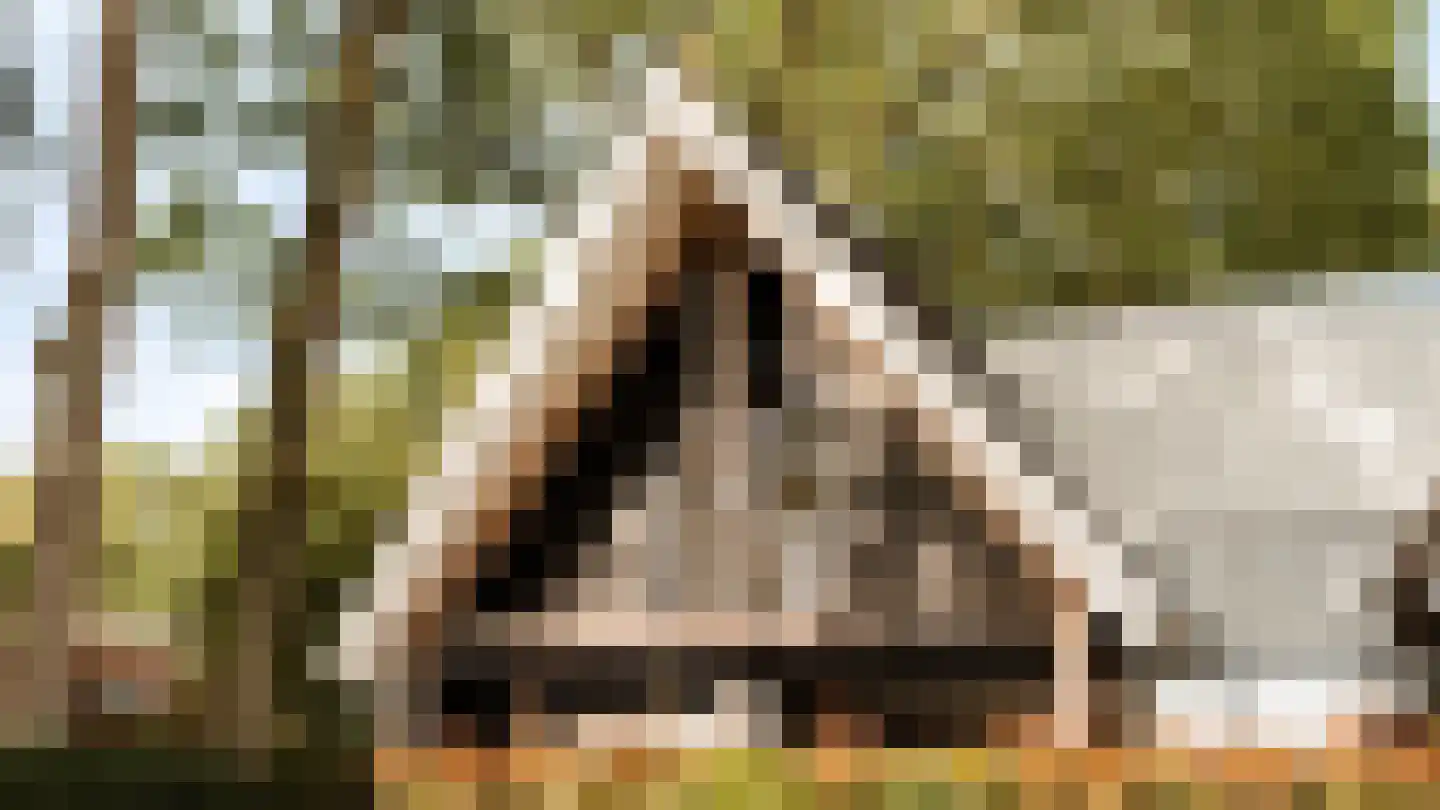 Thorbeckelaan 64 Barneveld thumbnail 12