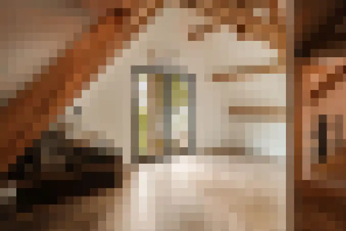 Thorbeckelaan 64 Barneveld thumbnail 40