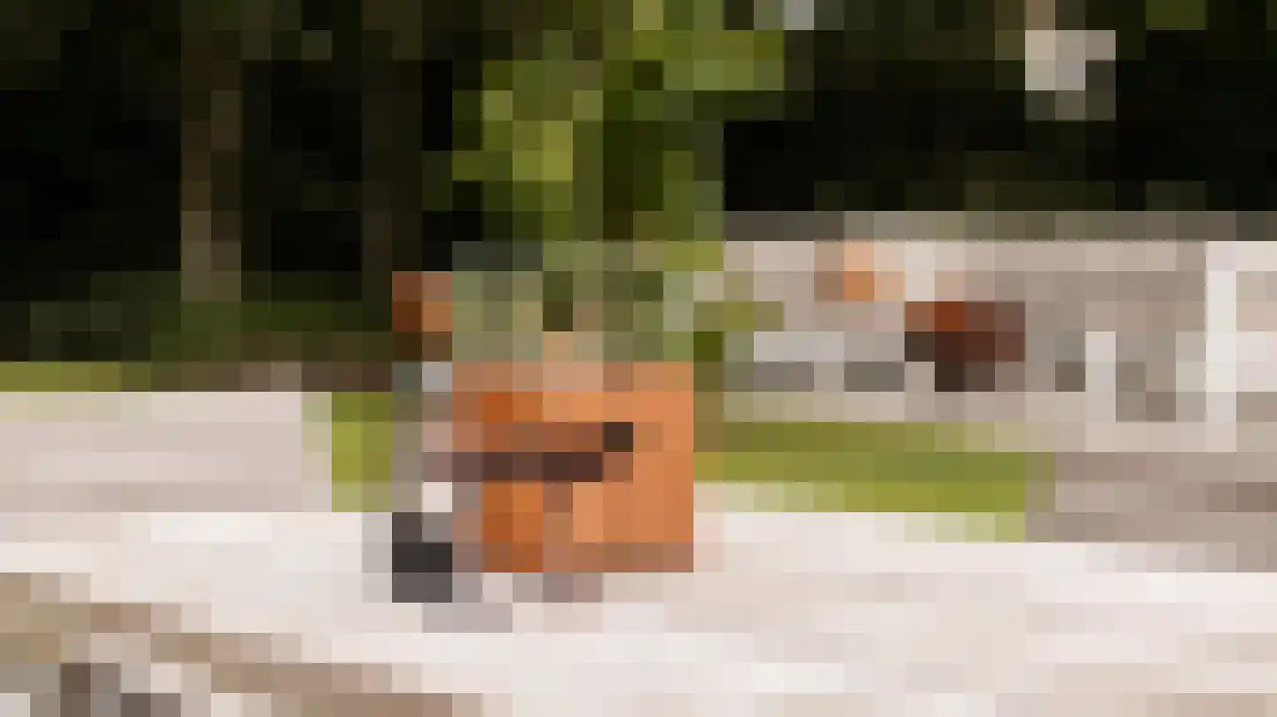 Thorbeckelaan 64 Barneveld thumbnail 52