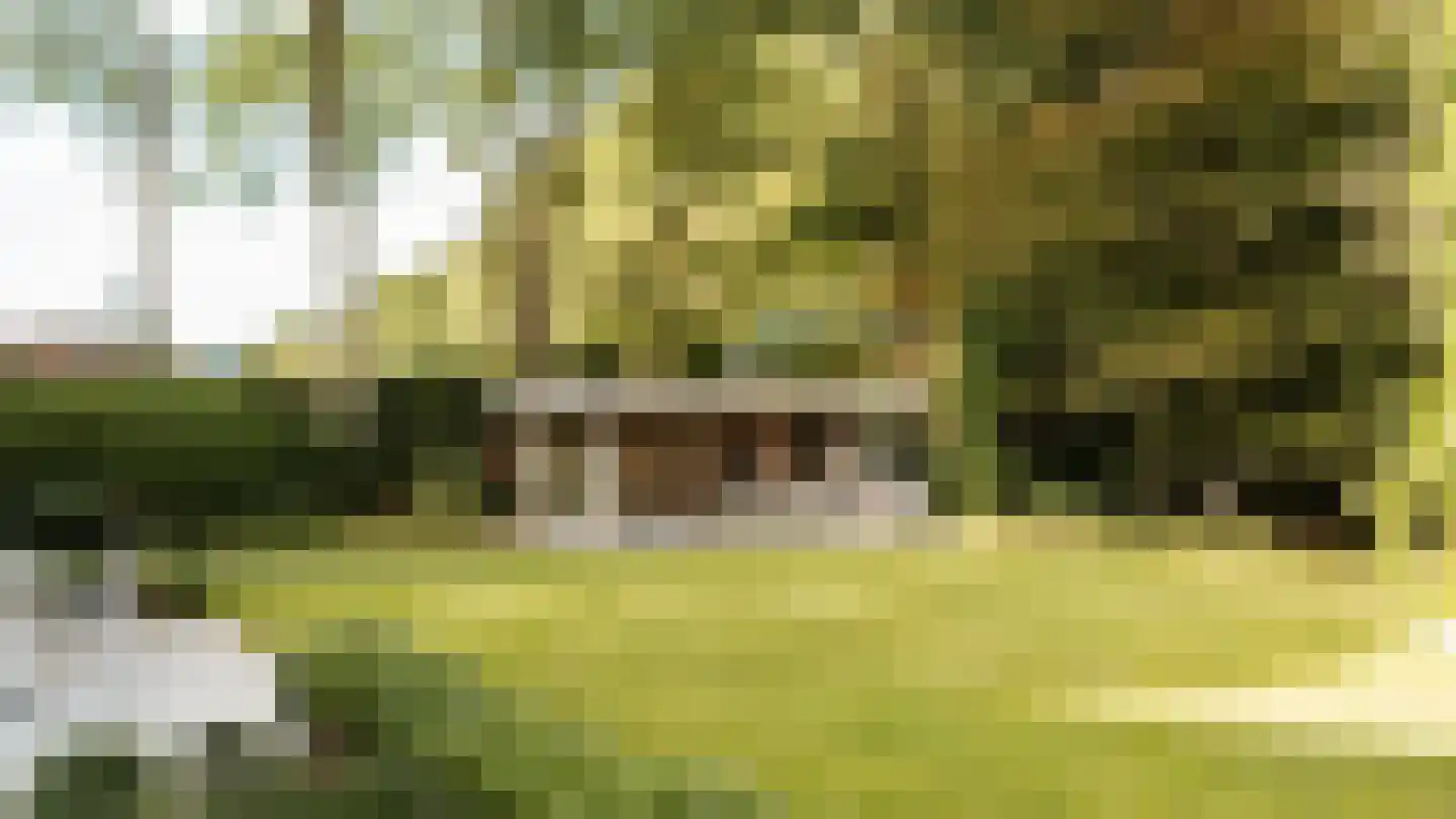 Thorbeckelaan 64 Barneveld thumbnail 54