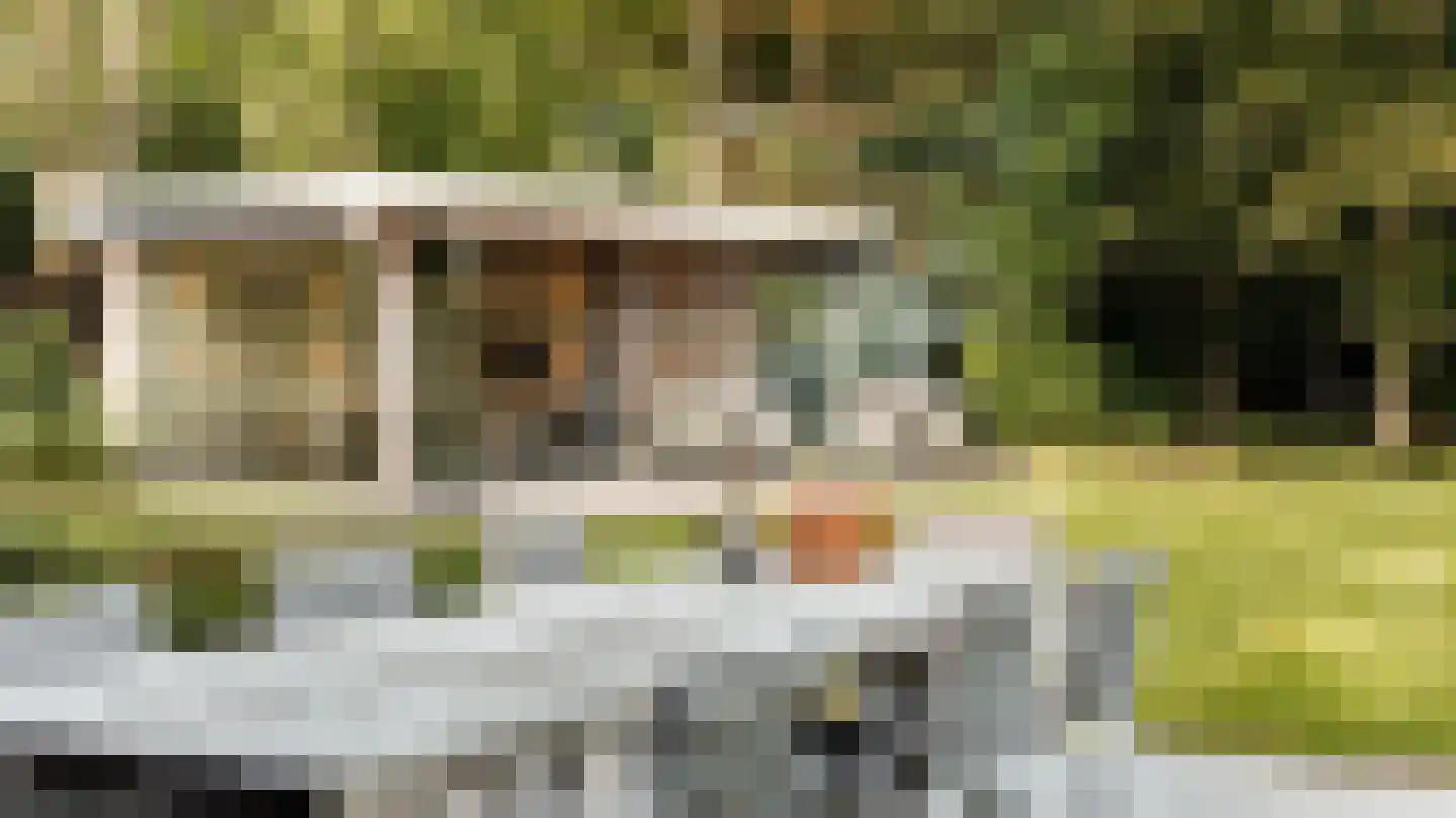 Thorbeckelaan 64 Barneveld thumbnail 55
