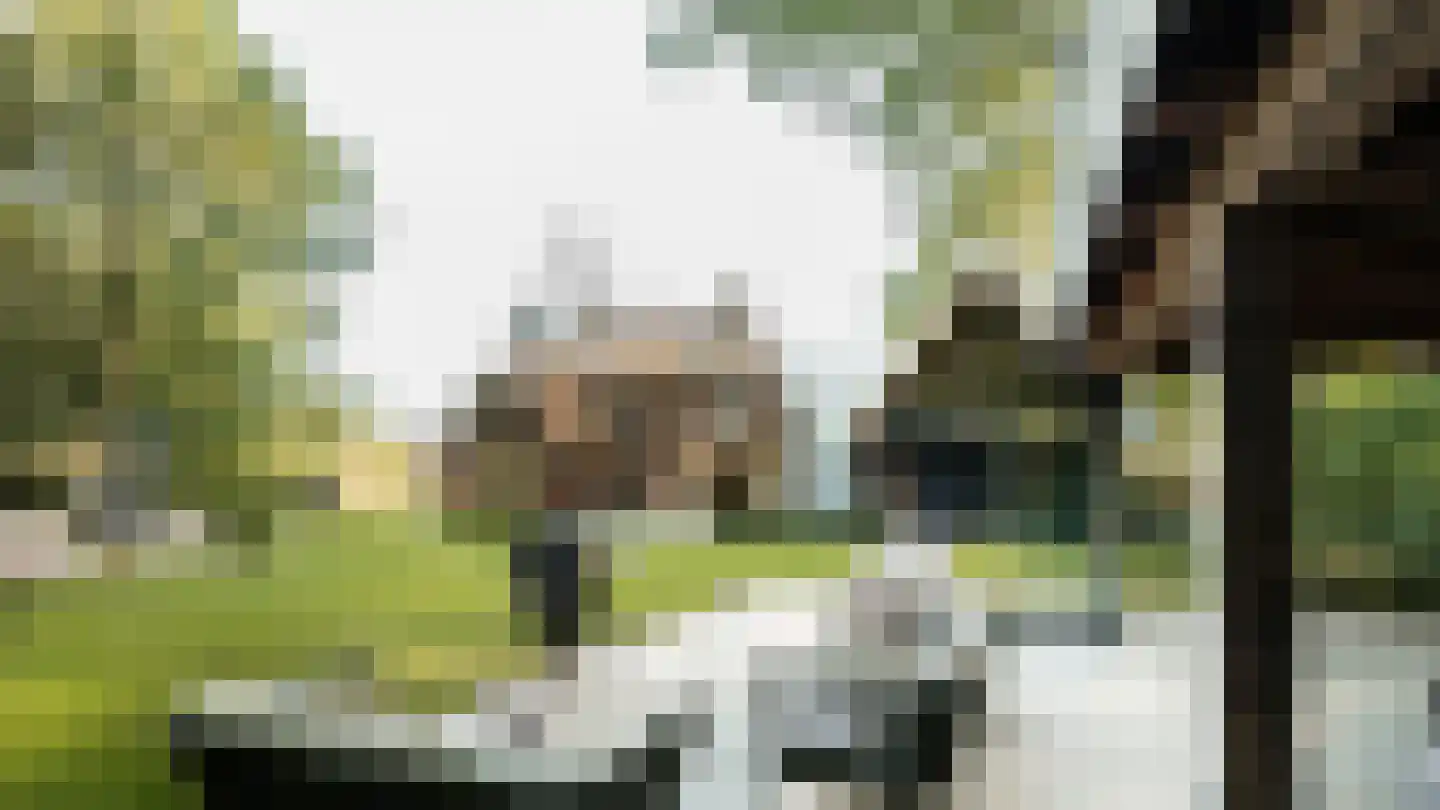 Thorbeckelaan 64 Barneveld thumbnail 57