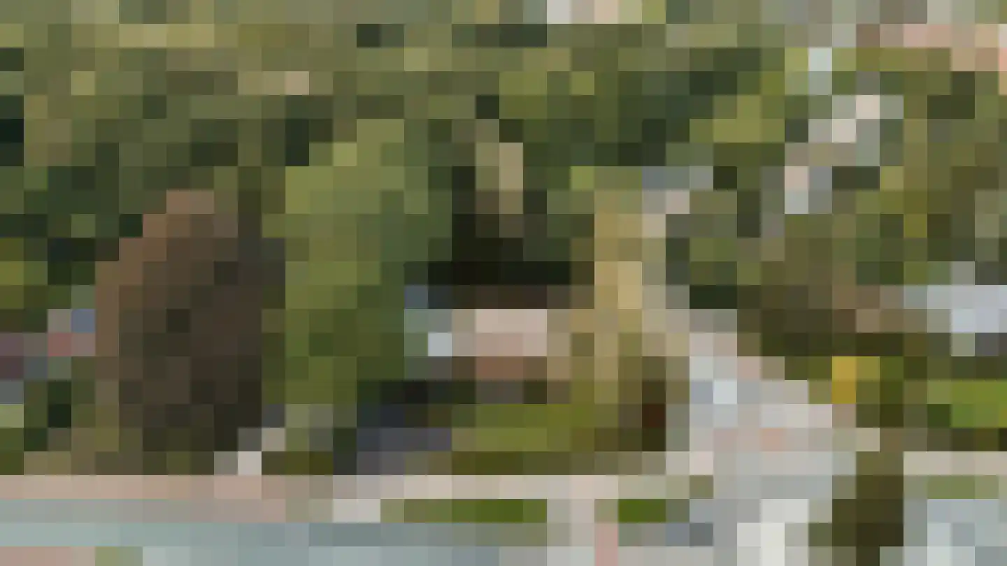 Thorbeckelaan 64 Barneveld thumbnail 58