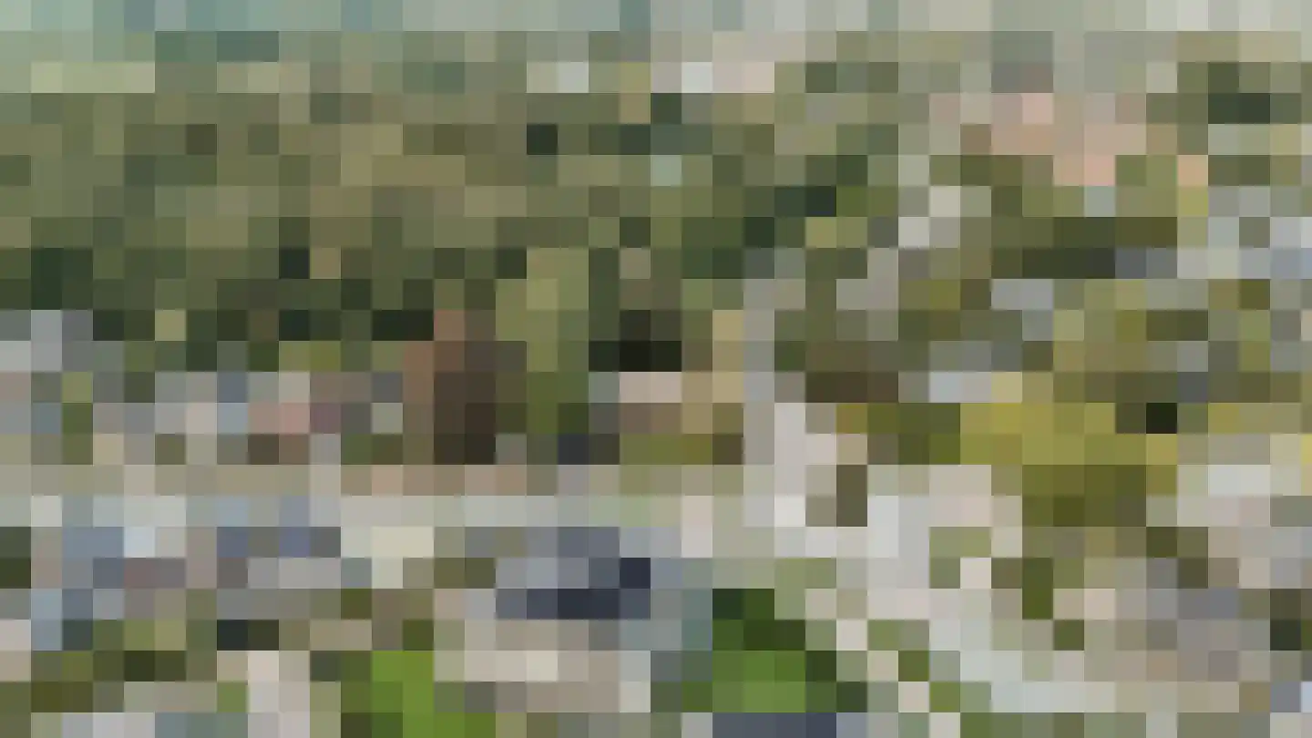 Thorbeckelaan 64 Barneveld thumbnail 62