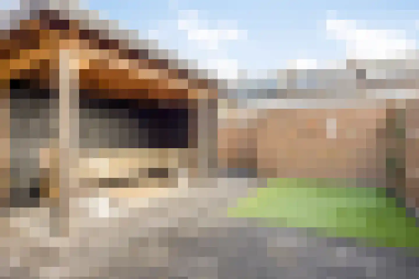 Thorbeckelaan 64 Pijnacker thumbnail 29