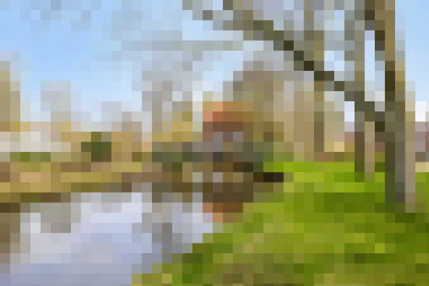Thorbeckelaan 64 Pijnacker thumbnail 37