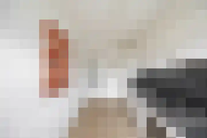 Thorbeckelaan 66 Groningen thumbnail 14