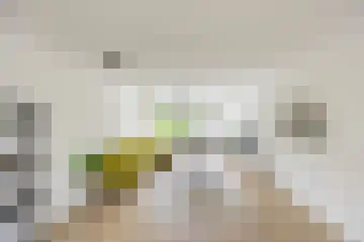 Thorbeckelaan 66 Groningen thumbnail 20