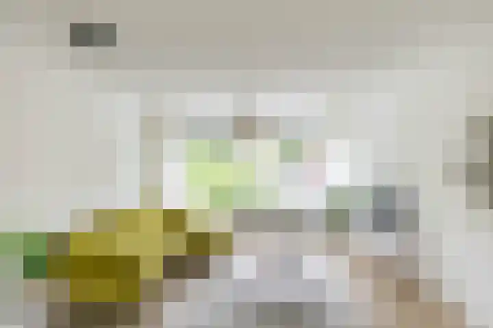 Thorbeckelaan 66 Groningen thumbnail 21