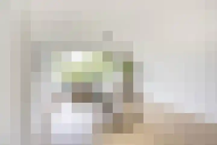Thorbeckelaan 66 Groningen thumbnail 25