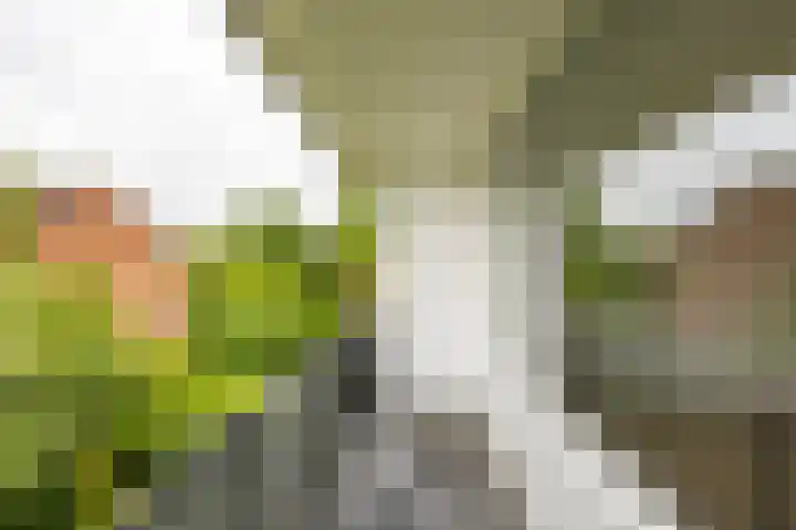 Thorbeckelaan 66 Groningen thumbnail 26