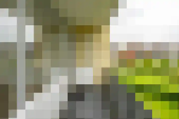 Thorbeckelaan 66 Groningen thumbnail 27